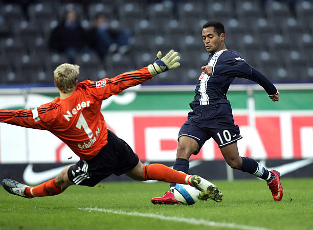 的热爱与珍 的热爱与珍